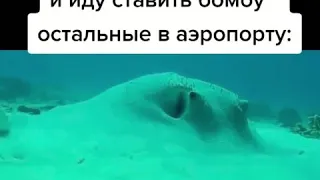 Чё за хуйня бля