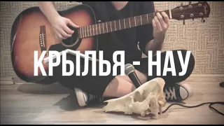 Крылья (Наутилус Помпилиус) - фингерстайл кавер+табы