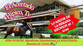 KING PONCHI Hipódromo Internacional LA RINCONADA Reunión 36 │ 2022 🔥🚀