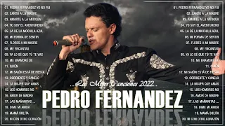 PEDRO FERNANDEZ ÉXITOS - ÉXITOS - ÉXITOS MÚSICA ROMANTICOS, SUS MEJORES BALADAS ROMÁNTICAS MIX