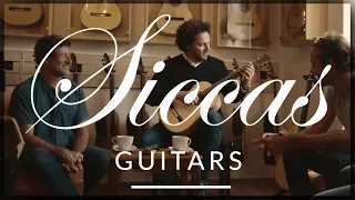 Siccas Guitars - The world's finest guitars in one place
