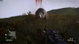 Far Cry 4-Bear vs. Bear