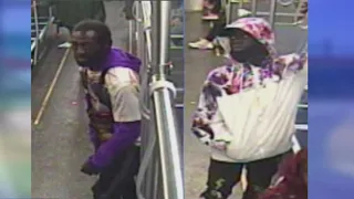 Police seek to identify 2 suspects who robbed, assaulted elderly man on CTA Red Line