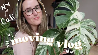MOVING VLOG #1 | moving across the country with all of my houseplants! 🪴✨