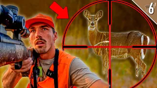 Whitetail Deer Hunting Public Land - AMAZING RECIPE (Catch, Clean, Cook)