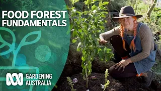 Food forest fundamentals | Urban farming | Gardening Australia