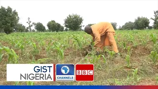 Farming And The Challenge Of Food Security In The North East