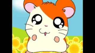 hamtaro