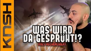 DAS nehmen WIR mal genauer unter die LUPE! | MIES RECHERCHIERT