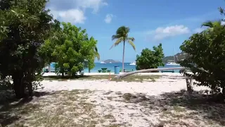 Magens Bay Beach St. Thomas USVI