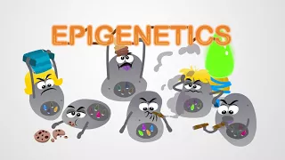 Cancer Treatment: Epigenetics