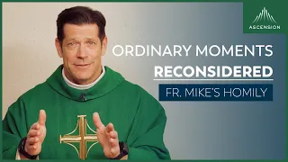 "Holiness in the Ordinary" | 3rd Sunday in Ordinary Time (Fr. Mike's Homily) #sundayhomily