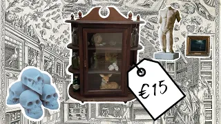 Making a Cabinet of Curiosities With Less Than €15