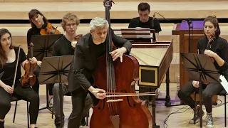 VIVALDI Concerto E minor RV409 | Božo Paradžik LIVE in Manchester 2020