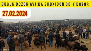 27.02.2024 SHOXIDON QOʻY BOZORI NARXLARI