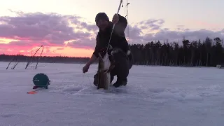 Здесь щуки сидят на зацепах. Таежные щи. Рыбалка удалась. Удачный выезд к машине. Часть 2