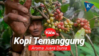 Kopi Temanggung, Secangkir Cita Rasa yang Aromanya Mendunia