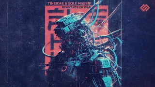 Tineidae & Sole Massif - Remnants of War [ FULL ALBUM ]