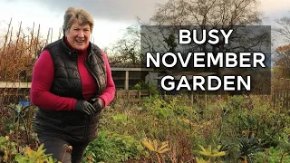 Why I Don't Put the Garden to Bed in Winter | Year Round Gardening