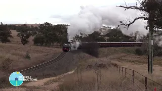 Steam Locomotive Beyer-Garratt 6029 - Bathurst Shuttle - June 2022