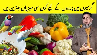 Best Vegetables For Birds In Summer | Birds Summer Care and Diet | Gouldian Breeding Diet