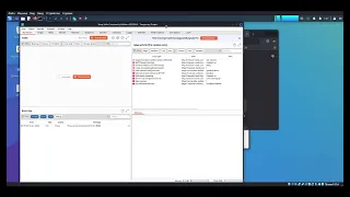 Подключаем Burp Suite к Firefox в Kali Linux