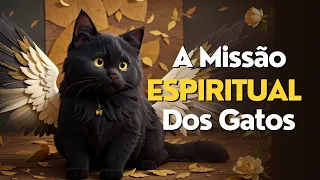 A Missão Espiritual dos Gatos - Qual a Missão do seu Gato com Você?