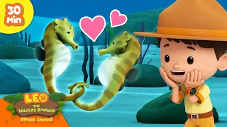 💘 Animal Pairings 🥰💕 Valentine's Special ❣️ | Leo the Wildlife Ranger | Kids Cartoons