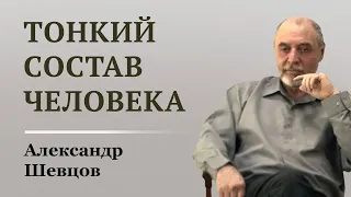 Устройство тонкого состава человека. Александр Шевцов