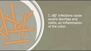 C. Diff Infections | Pathophysiology and Nursing Interventions