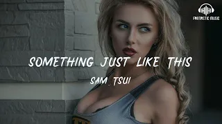 Sam/Tsui - Something Just Like This [lyric]