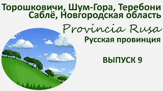 Торошковичи, Шум-гора, Теребони, Саблё, Новгородская область. Provincia Rusa выпуск 9