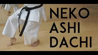 how to move in NEKO ASHI DACHI - Moving in Karate KATA STANCES part 3 - TEAM KI