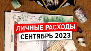 Личный бюджет. Система не конвертов. Деньги от Авито продаж. Никому не нужен баиндер? )