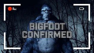 BIGFOOT WAS CAUGHT ON FILM - And They Still Don't Believe It - MBM 256