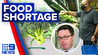Vegetable prices to skyrocket as Sydney floods hit supplies | 9 News Australia