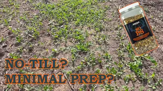 Domain NO BS food plot mix | Is it any good?