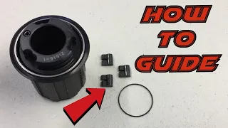 DT Swiss Freehub 3 Pawl Replacement Guide