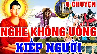 6 Chuyện Nhân Quả, Nghe KHÔNG UỔNG 1 Kiếp Người Rất Hay - Nhân Quả Báo Ứng 2024 | Gieo Nhân Gặt Quả