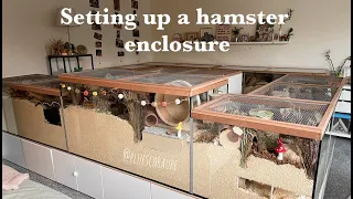 Setting up a hamster enclosure  -  Lotta's enclosure