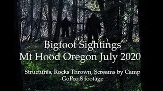 Bigfoot Sighting Mt Hood Oregon July 2020..2 Days of Rocks Thrown & they followed us Back to Camp!