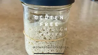 How to Make a Gluten-Free Sourdough Starter from Scratch