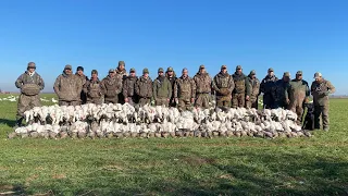 299 Bird Day in Arkansas (33 VOLLEYS!!!)