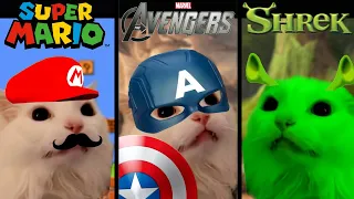 Funny cat sings "Meow" in different universes