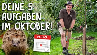 5 Dinge, die du noch diesen Monat erledigen solltest! 🍂 - wichtige Gartenarbeiten im Oktober