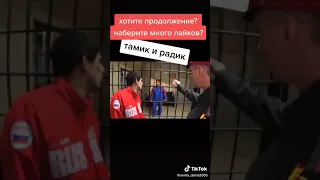 Тамик и радик