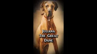 Juliana The Great Dane | Fascinating Horror Shorts