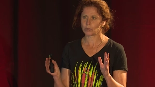 A mountain-sized telescope, under a mile of ice | Jenni Adams | TEDxChristchurch