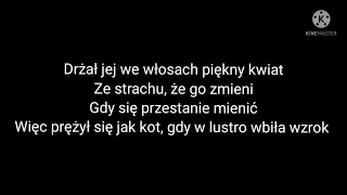 Sanah, Dawid Podsiadło - "Ostatnia nadzieja (Tekst)