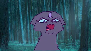 Bluestar after Forest of Secrets